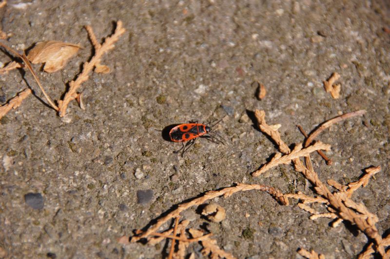 Viewing photos→2014→2014-09-08→125