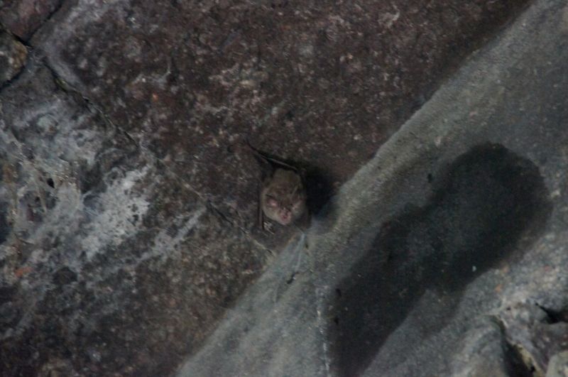 Viewing photos→2014→2014-09-08→131