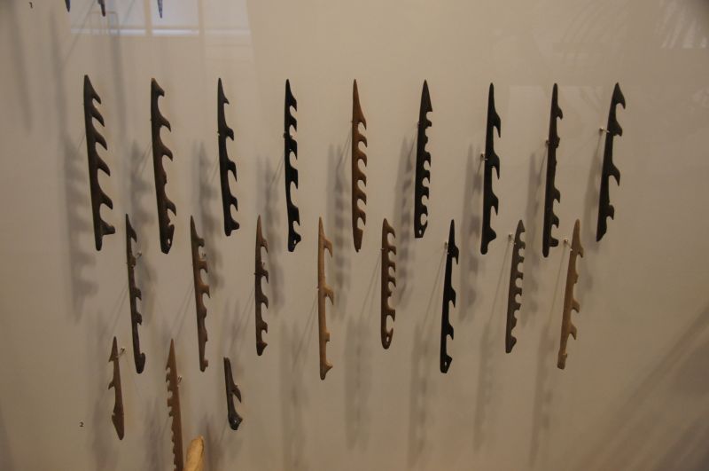 Viewing photos→2014→2014-11-01→16