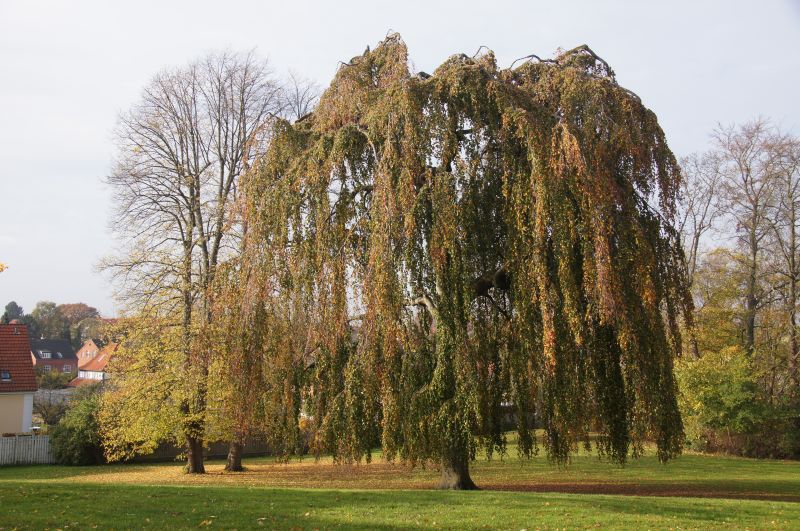 Viewing photos→2014→2014-11-02→10