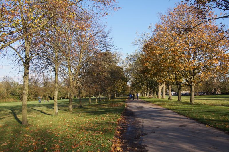 Viewing photos→2014→2014-11-09-1→04