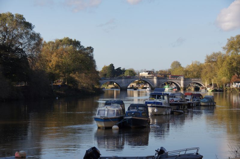 Viewing photos→2014→2014-11-09-1→13