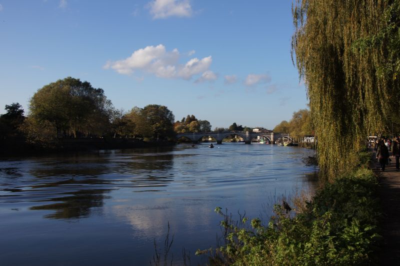 Viewing photos→2014→2014-11-09-1→14