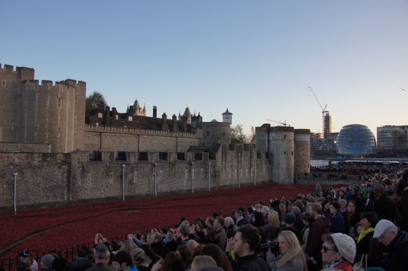 Viewing photos→2014→2014-11-09-2→04