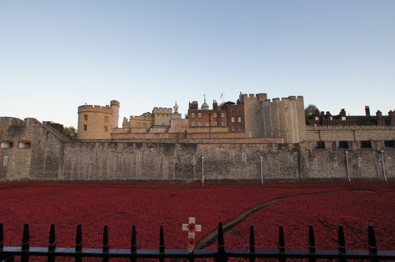 Viewing photos→2014→2014-11-09-2→05