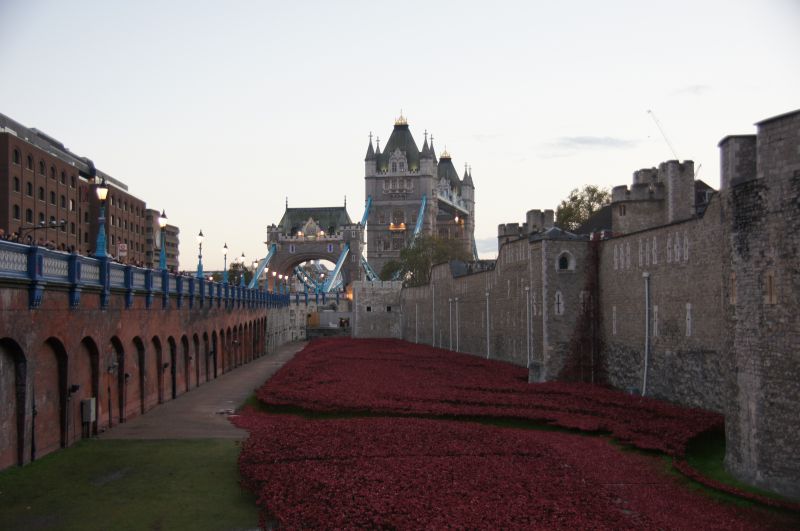 Viewing photos→2014→2014-11-09-2→08