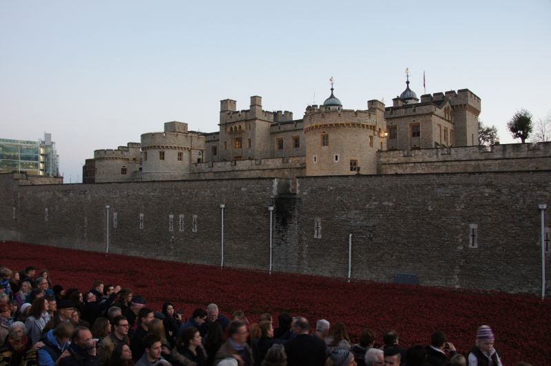 Viewing photos→2014→2014-11-09-2→10