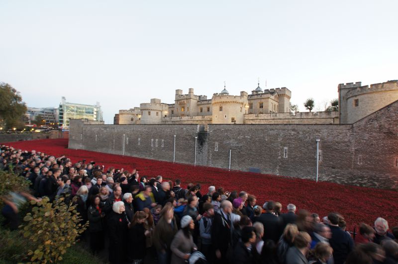 Viewing photos→2014→2014-11-09-2→11