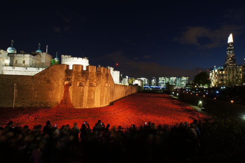 Viewing photos→2014→2014-11-09-2→14