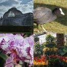 2015-02-06<br/>
<b>Kew Gardens</b>
