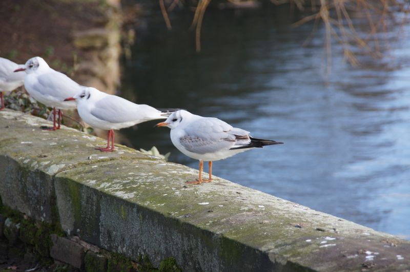 Viewing photos→2015→2015-02-06→03