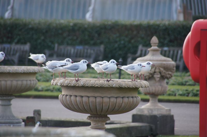 Viewing photos→2015→2015-02-06→05