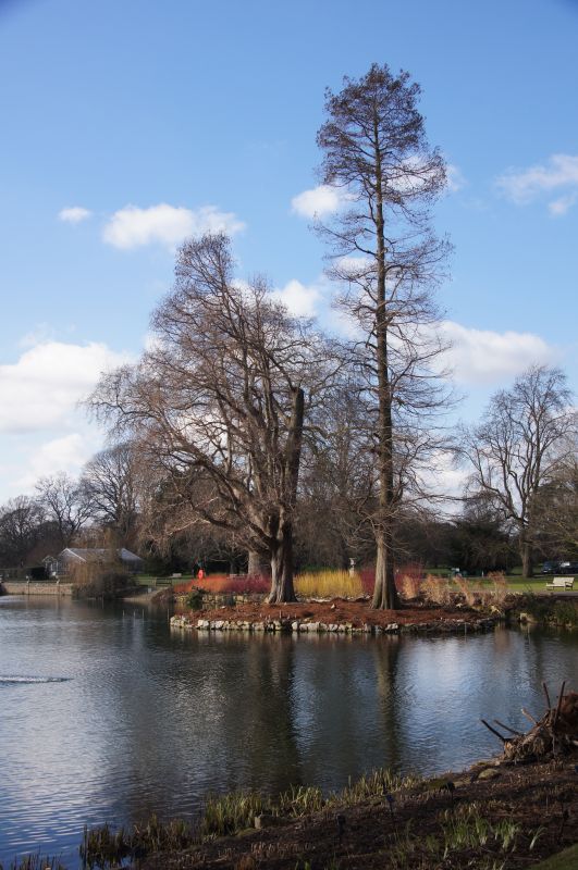 Viewing photos→2015→2015-02-06→08