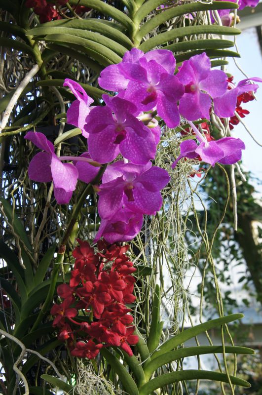 Viewing photos→2015→2015-02-06→10