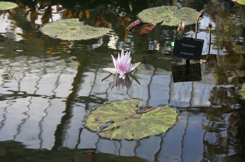 Viewing photos→2015→2015-02-06→14