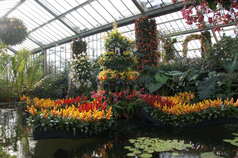 Viewing photos→2015→2015-02-06→16