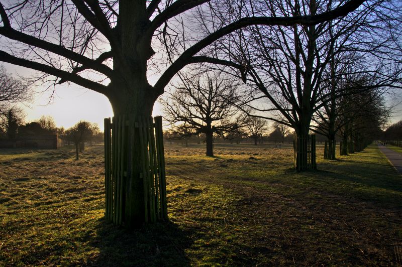 Viewing photos→2015→2015-02-08→01