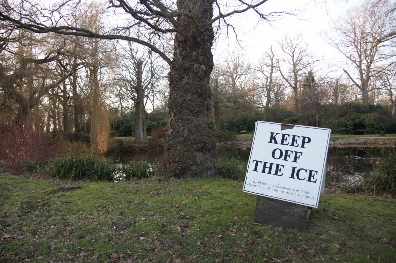 Viewing photos→2015→2015-02-08→03