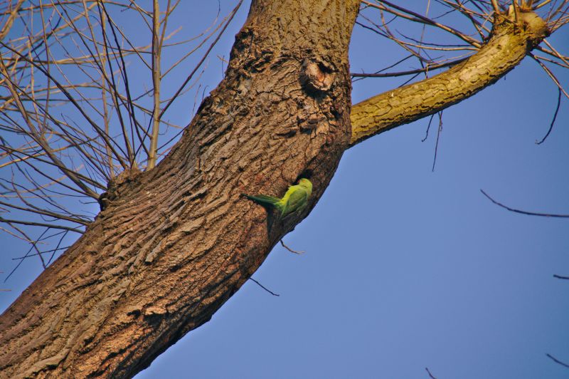 Viewing photos→2015→2015-02-08→05