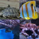 2015-02-21 - 2015-02-23<br/>
<b>Gothenburg, Sweden</b>
