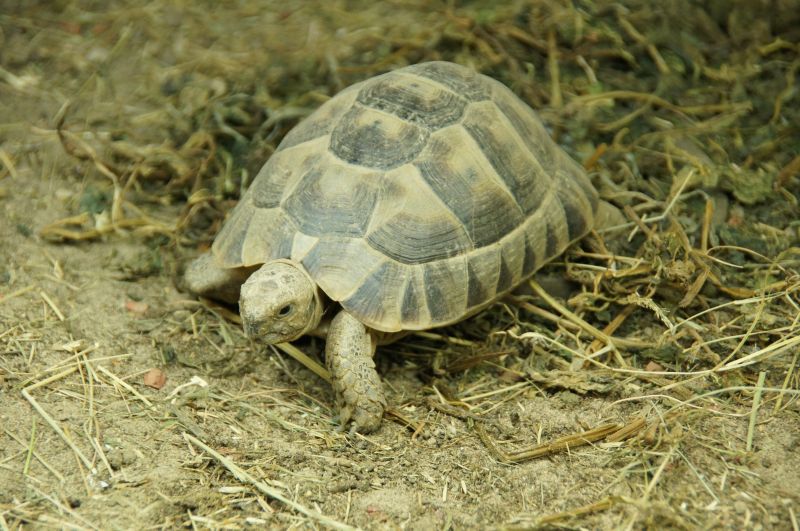 Viewing photos→2015→2015-02-21→03