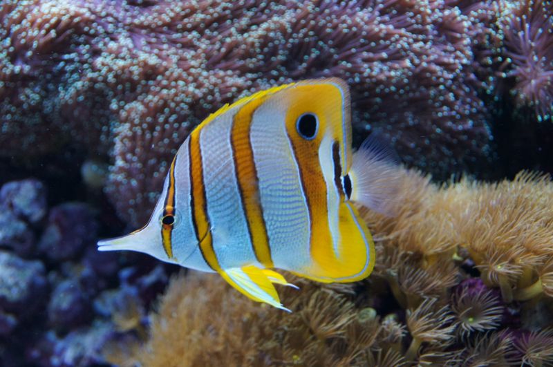 Viewing photos→2015→2015-02-21→12