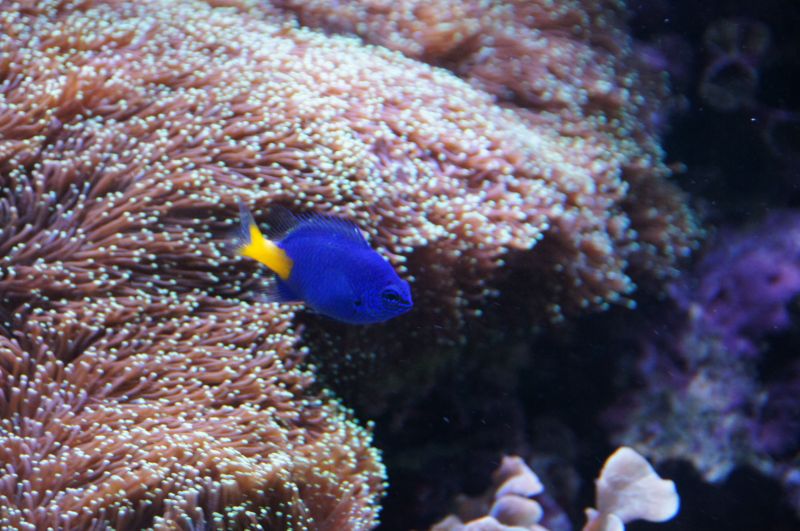 Viewing photos→2015→2015-02-21→14