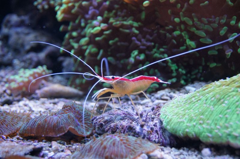 Viewing photos→2015→2015-02-21→20