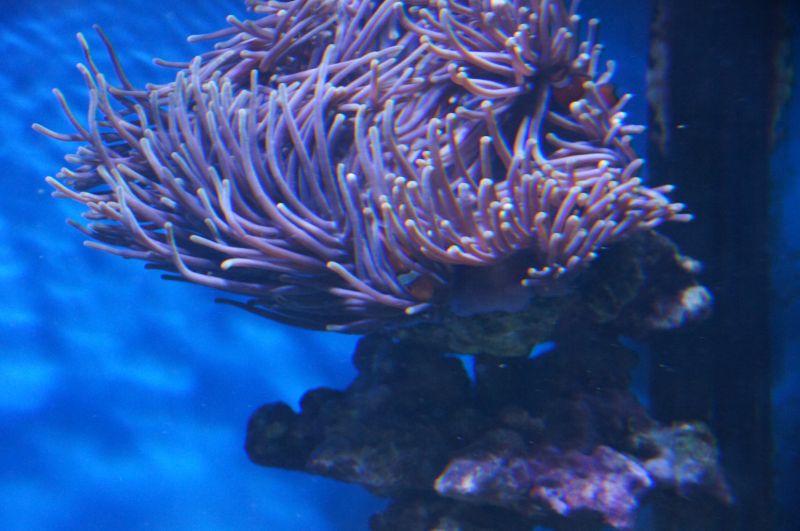 Viewing photos→2015→2015-02-21→22