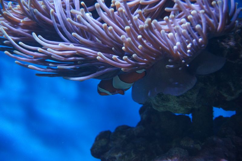 Viewing photos→2015→2015-02-21→23