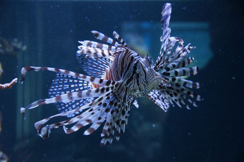 Viewing photos→2015→2015-02-21→26