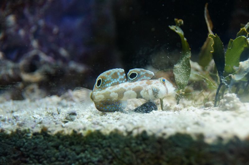 Viewing photos→2015→2015-02-21→30