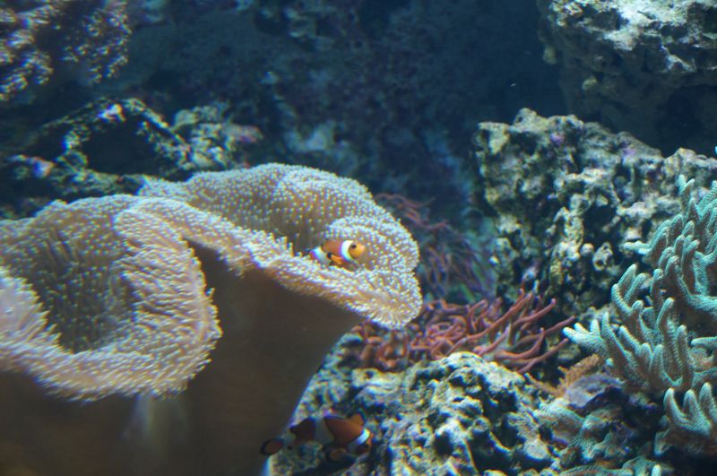 Viewing photos→2015→2015-02-21→31