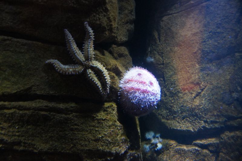 Viewing photos→2015→2015-02-21→33