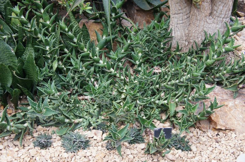 Viewing photos→2015→2015-03-08→03