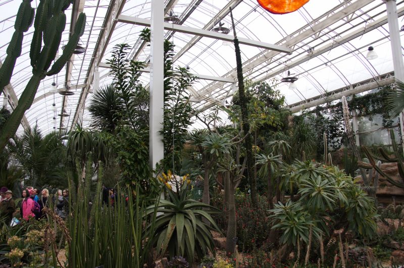 Viewing photos→2015→2015-03-08→04