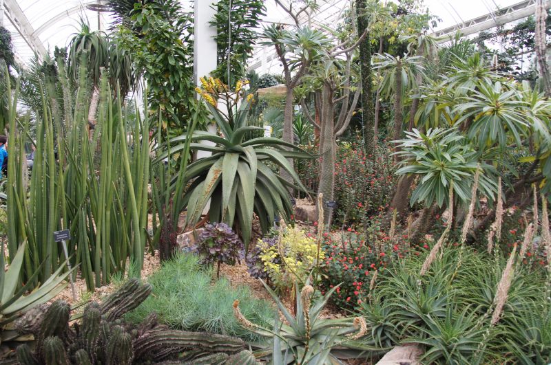 Viewing photos→2015→2015-03-08→05