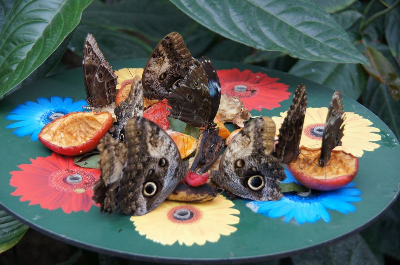 Viewing photos→2015→2015-03-08→08