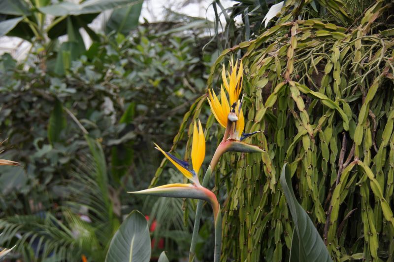 Viewing photos→2015→2015-03-08→16