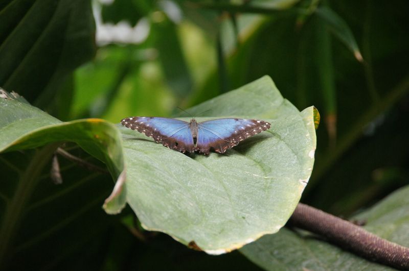 Viewing photos→2015→2015-03-08→19