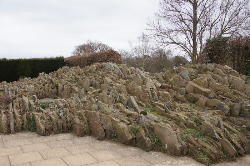 Viewing photos→2015→2015-03-08→25