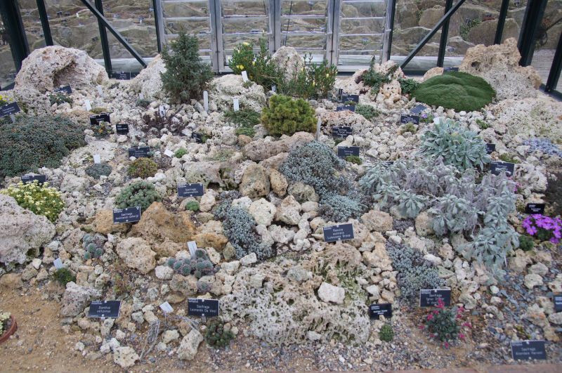 Viewing photos→2015→2015-03-08→26