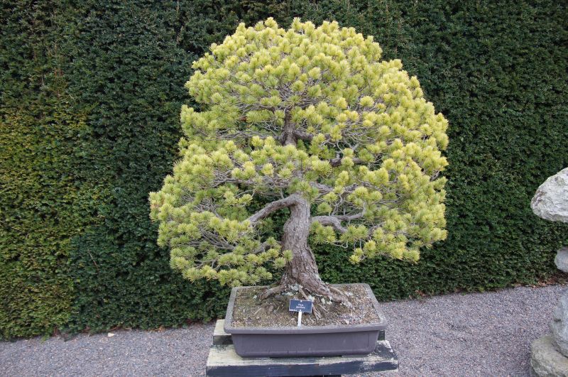 Viewing photos→2015→2015-03-08→28