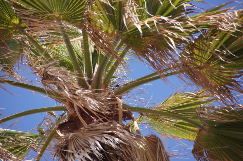 Viewing photos→2015→2015-03-15→037