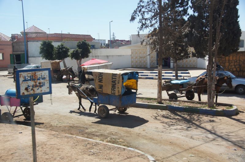 Viewing photos→2015→2015-03-15→064