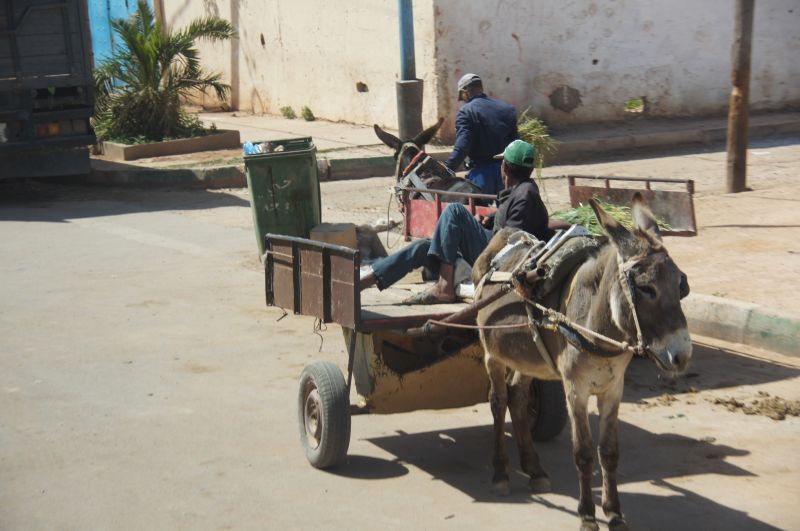 Viewing photos→2015→2015-03-15→071