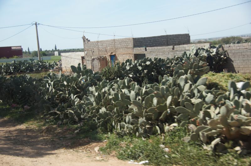 Viewing photos→2015→2015-03-15→074