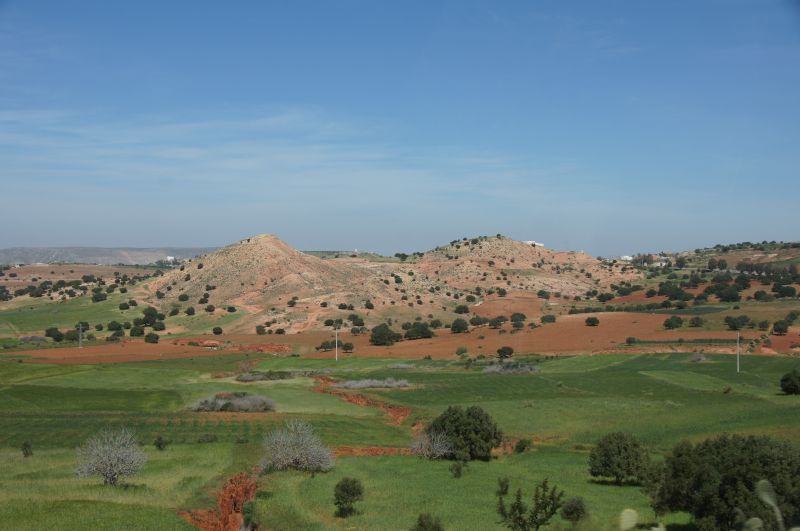 Viewing photos→2015→2015-03-15→085