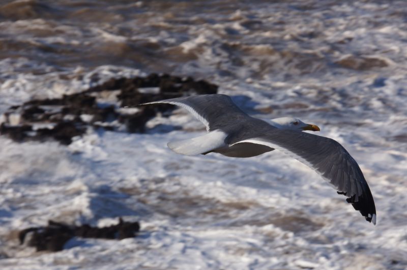 Viewing photos→2015→2015-03-15→113