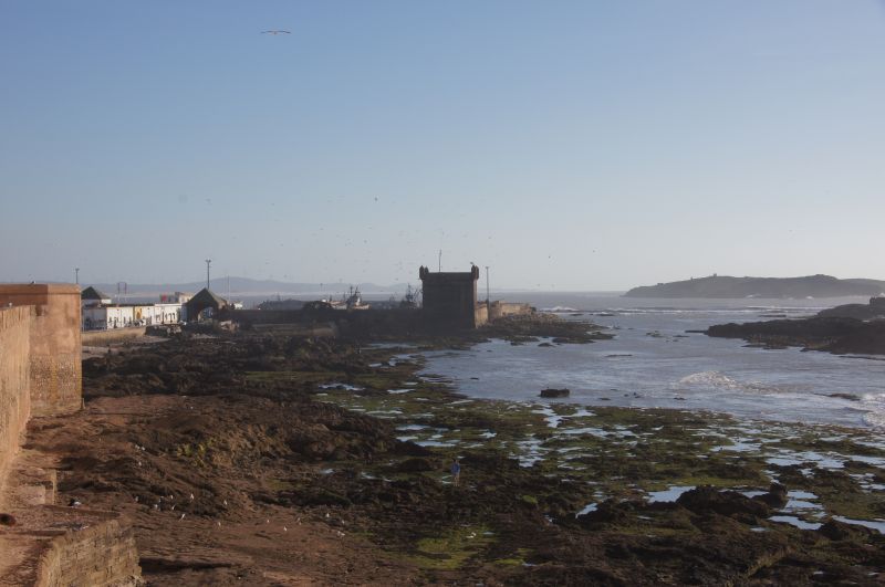 Viewing photos→2015→2015-03-15→124